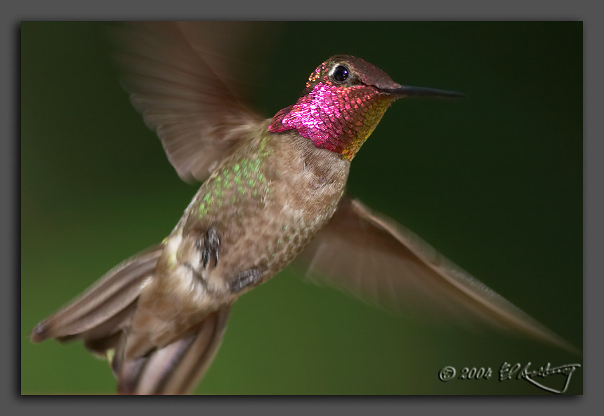 IMAGE: http://www.edrotberg.org/images/Annas%201_5-8.jpg