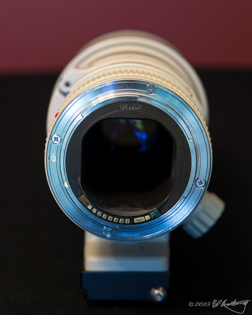 IMAGE: http://www.edrotberg.org/images/Canon%20400mm%20f5.6L/400mmf56L-3.jpg