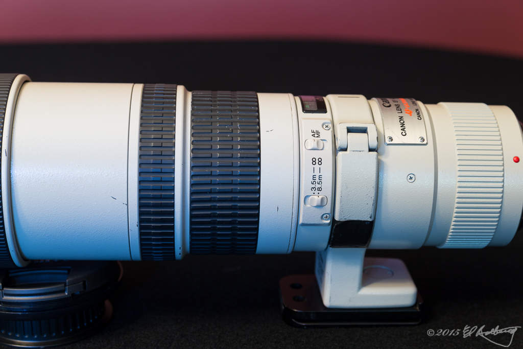 IMAGE: http://www.edrotberg.org/images/Canon%20400mm%20f5.6L/400mmf56L-6.jpg