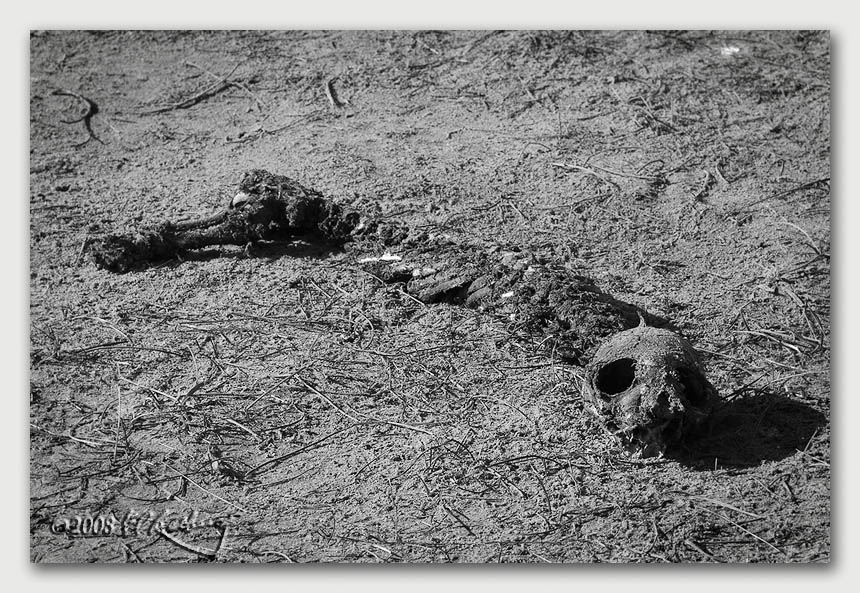 IMAGE: http://www.edrotberg.org/images/Canon%20DPF/Infant%20Mortality.jpg