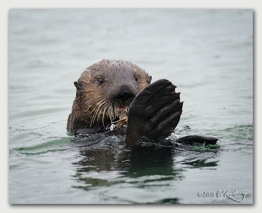 IMAGE: http://www.edrotberg.org/images/Canon%20DPF/My%20what%20big%20feet%20I%20have.jpg