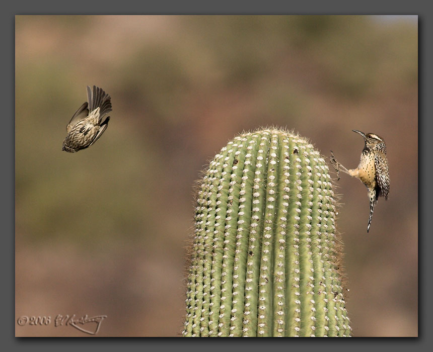 IMAGE: http://www.edrotberg.org/images/Hello-Goodbye.jpg