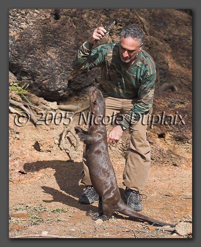 IMAGE: http://www.edrotberg.org/images/Sappho%20Jump%201.jpg