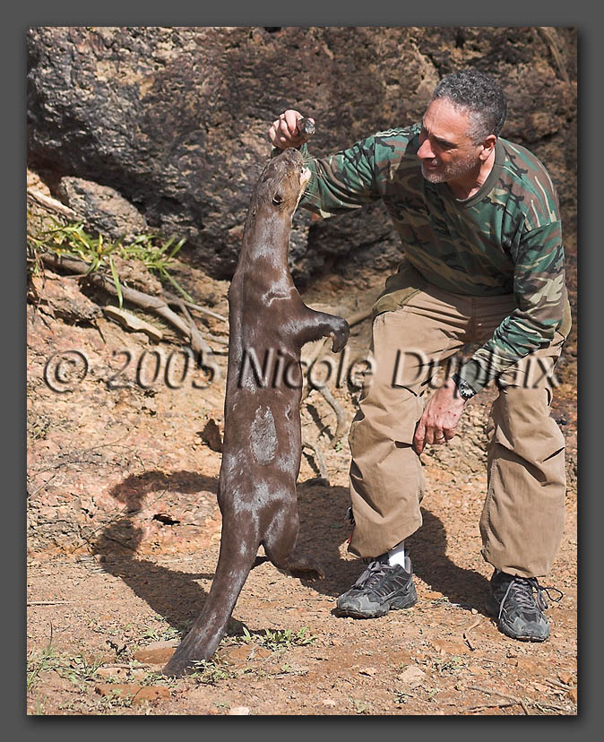 IMAGE: http://www.edrotberg.org/images/Sappho%20Jump%203.jpg