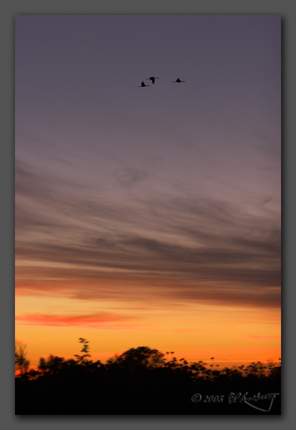 IMAGE: http://www.edrotberg.org/images/Sunset%20Trio.jpg