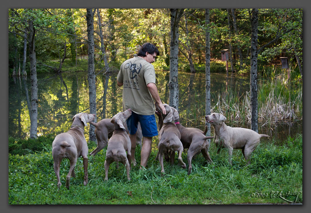 IMAGE: http://www.edrotberg.org/images/Weims/Biscuits.jpg