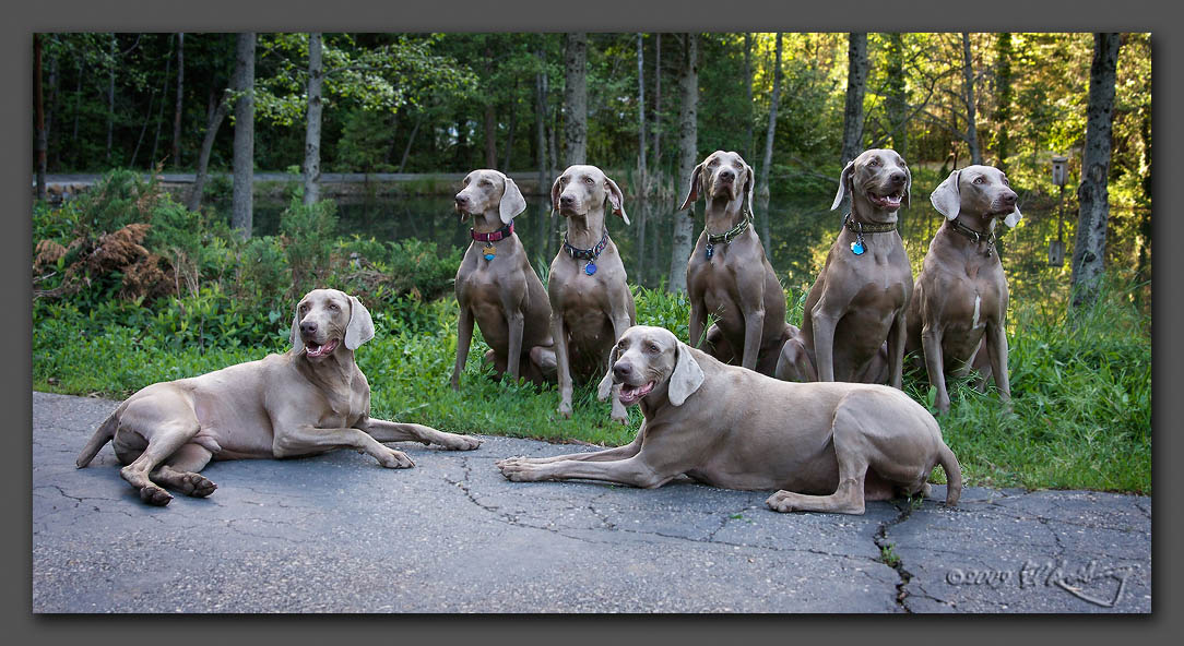 IMAGE: http://www.edrotberg.org/images/Weims/Three%20Generations%20plus%20Jaeger.jpg