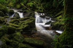 Below_Torc_Waterfall