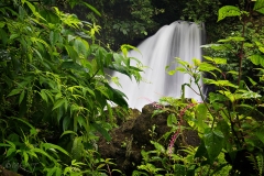 Arenal_Falls