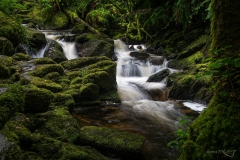 Below_Torc_Waterfall